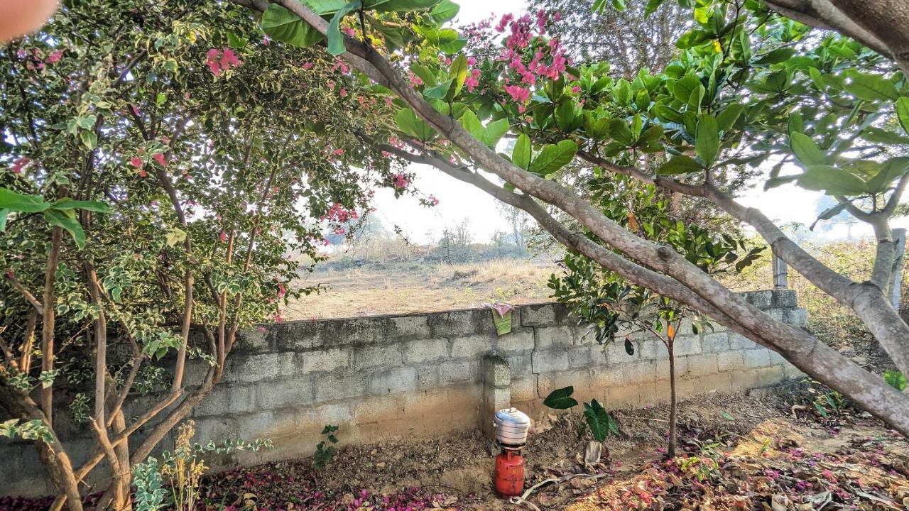 Sattva Farmstay 班加罗尔 外观 照片