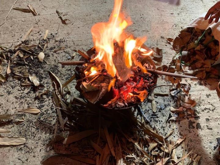 Sattva Farmstay 班加罗尔 外观 照片