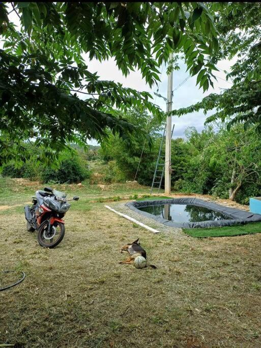 Sattva Farmstay 班加罗尔 外观 照片
