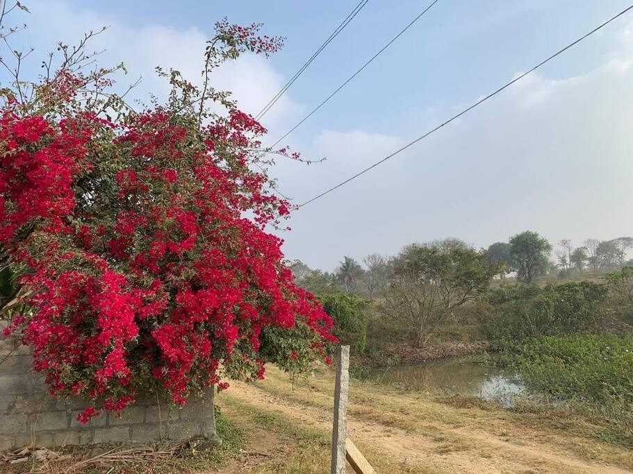 Sattva Farmstay 班加罗尔 外观 照片