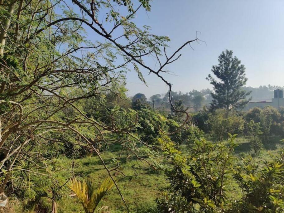 Sattva Farmstay 班加罗尔 外观 照片